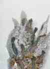 growing_from_darkness_to_light_100 (1K)