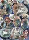 pebbles_on_the_beach_100 (2K)