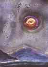the_gold_is_in_the_dark_100 (2K)