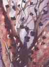 tree_of_life_100 (2K)